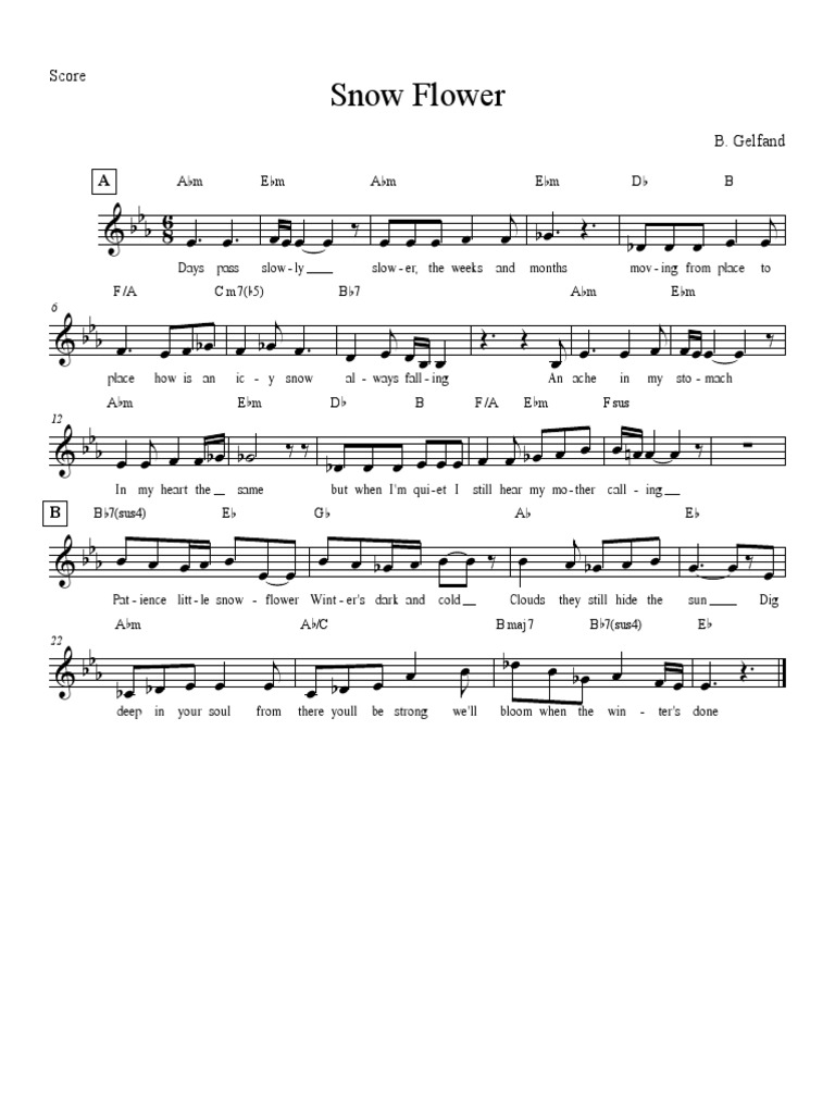 Snow Flower B B B B B PDF