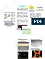 Triptico Desarrollo Del Pensamiento