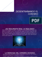 Desentrañando El Cerebro