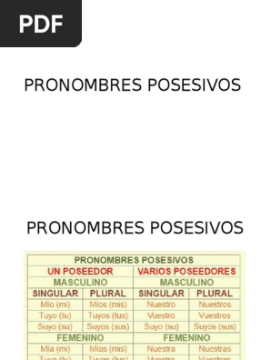 Pronombres Posesivos Y Numerales Adjetivo Pronombre