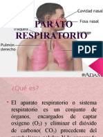aparato respiratorio.pptx