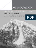 Motionmountain Volume6 PDF