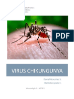 Chikungunya Microbiologia