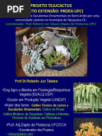 22_10_2013_-_Mesa_Redonda_-_Projeto_Tejucactus_-_Roberto_Jun_Takane (2) (1).pdf