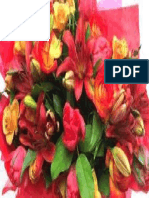 Flowers 80 PDF