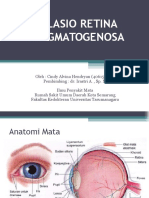 Ablasio Retina Rhegmatogenosa - Print