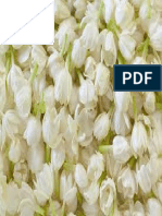 Flowers 89 PDF
