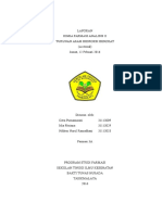 Laporan Praktikum KFA II Asetosal