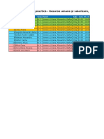 Orar de Practica Arexim Audit