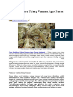 Download Cara Budidaya Udang Vaname Agar Panen Melimpah by Amin Rusydi SN323144080 doc pdf