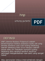  HNP