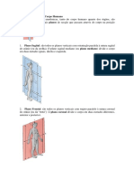 Planos e Eixos Do Corpo Humano