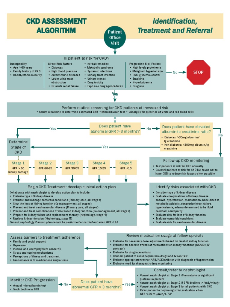 CKD Assessment Algorithm: Identification, Treatment and Referral