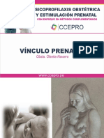 Vinculo Prenatal