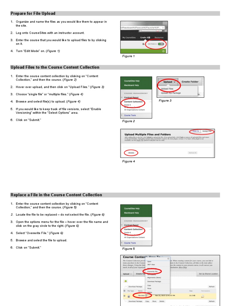 File Upload Instructions for Students | PDF | Software | System Software