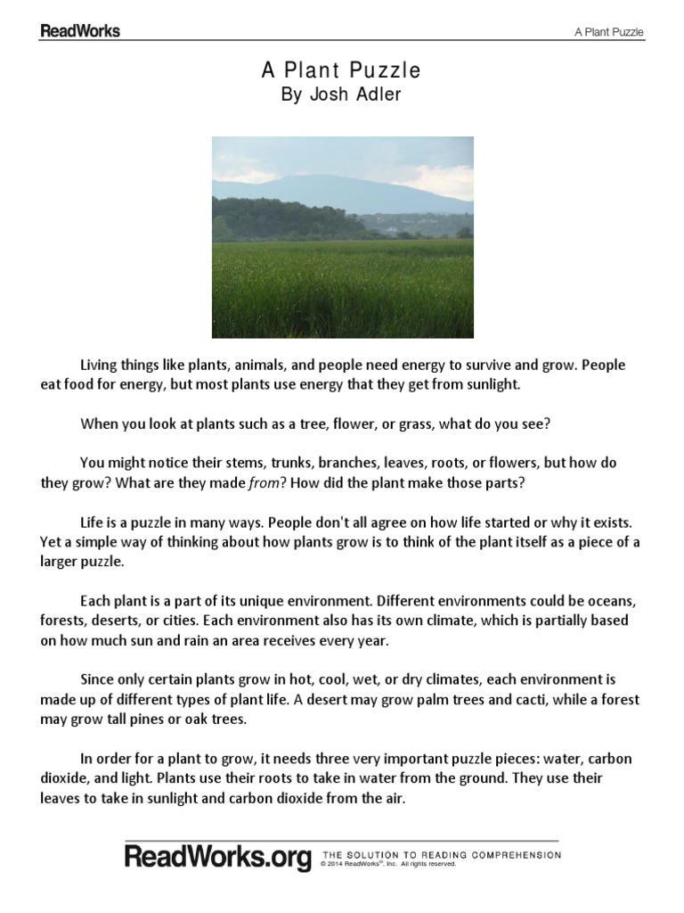 970 A Plant Puzzle | PDF | Plants | Trees