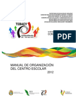 Manual - Organizacion Tebaev PDF