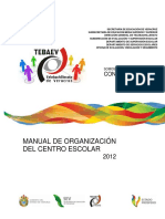 manual_organizacion tebaev.pdf