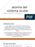 Anatomía del sistema ocular.pptx