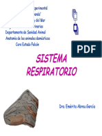 Sistema Respiratorio