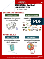 Características Básicas Dos Seres Vivos: Professora Zazá