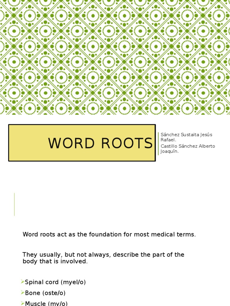 Medical Word Roots and Suffixes Guide | PDF | Linguistic Morphology ...