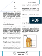 1.- Angiología General.pdf