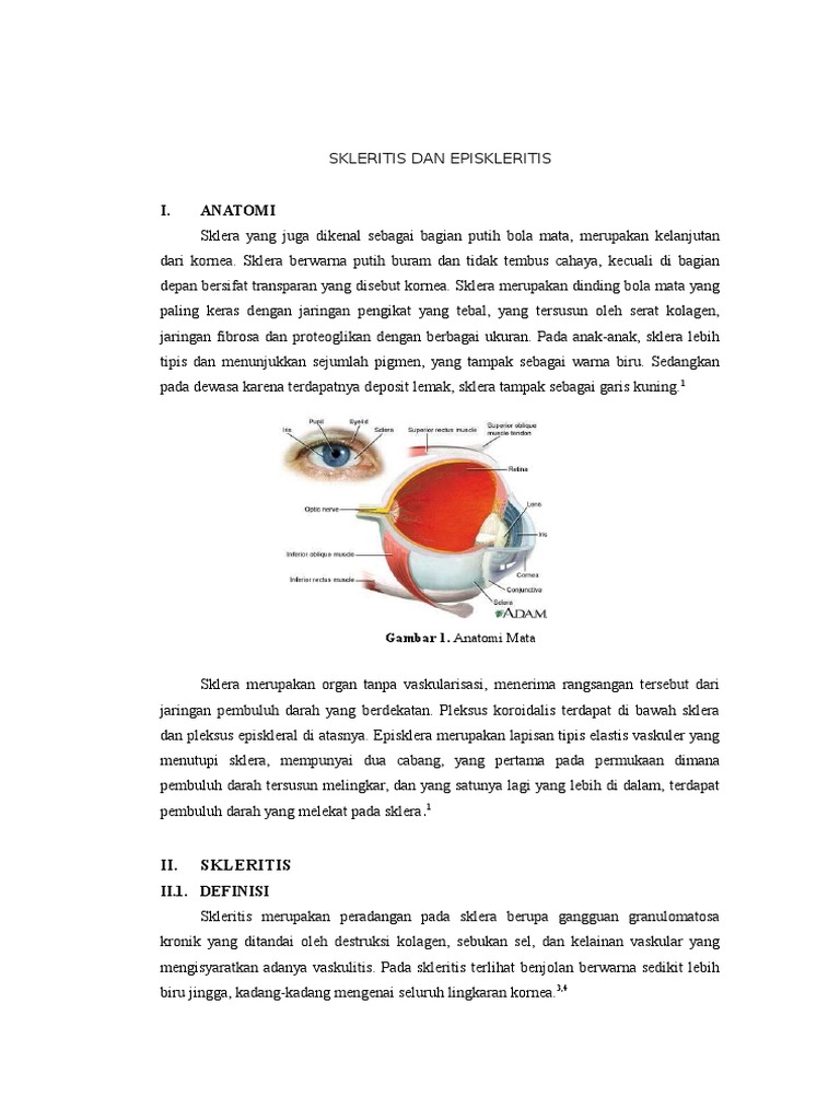 Penatalaksanaan Skleritis | Diagnose und Therapie der Episkleritis und ...