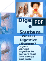 Digestive System