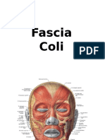 Fascia Coli