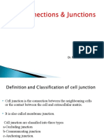 Cell Junction Types and Functions in 40 Characters