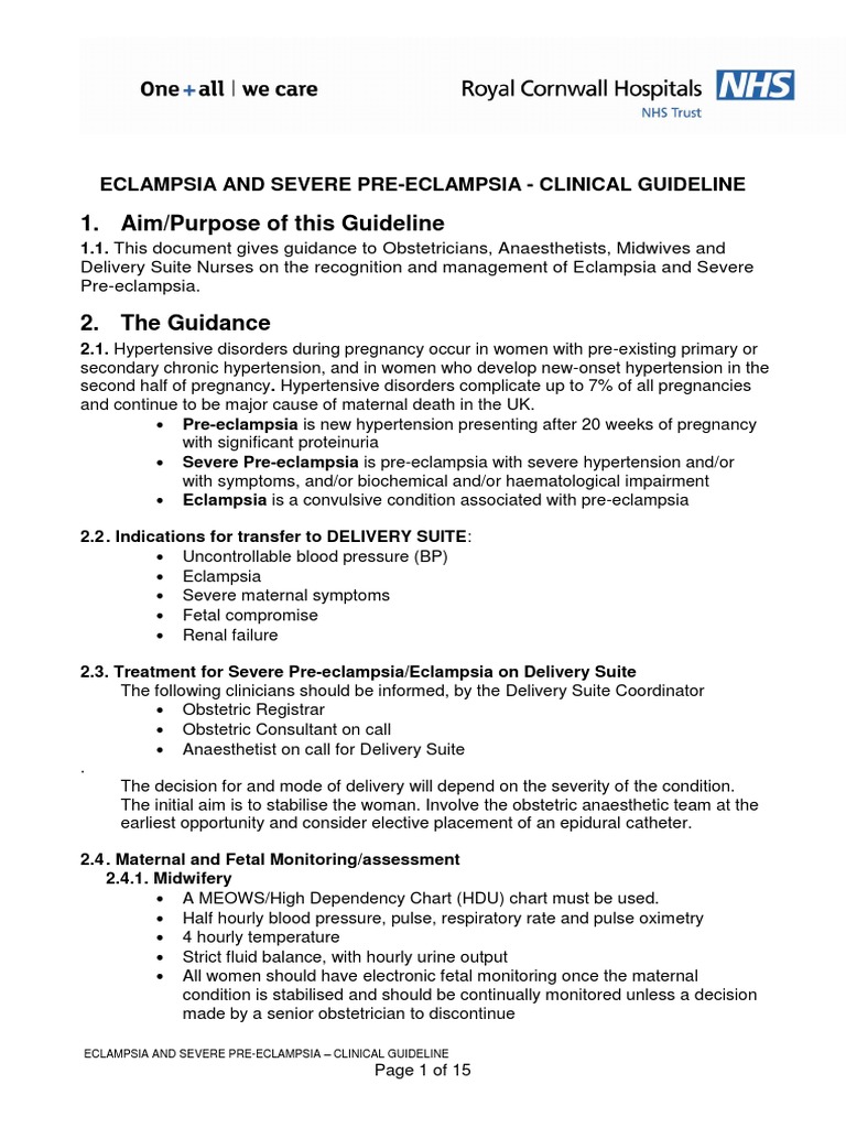 Eclampsia and Severe Pre-Eclampsia Guidelines | PDF | Hypertension ...