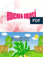 4_ridichea_uriasa.ppt