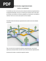 Estruturas Organizacionais- Esquema Mental