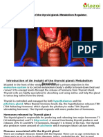 The Thyroid Gland Metabolism Regulator