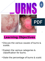 Lect 4 Burns