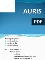 Auris Eksterna, Media, dan Interna