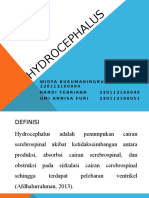 HYDROCEPHALUS (Peerteaching)