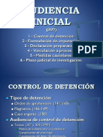 Audiencia Inicial