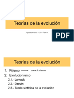 Teorias de La Evolucion 