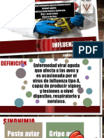 Influenza Aviar