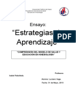 ENSAYO.docx