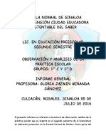 Informe Final Observacion