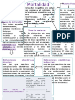 Conceptos Generales de Mortalidad