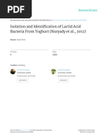 Download Isolation and Identification of Lactid Acid Bacteria From Youghurt 1 by Bean Rizqi SN323309103 doc pdf