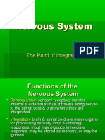 The Nervous System