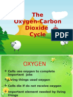 The Oxygen-Carbon Dioxide Cycle