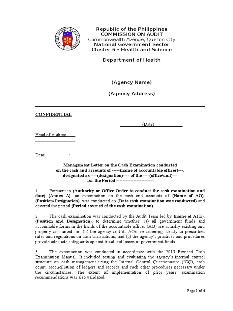 G Cash Examination Report Template MDJ 110713 Audit Government
