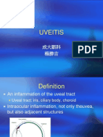 Uveitis_2.pdf