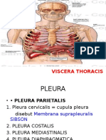 Viscera Thoracis, Cor Dan Mediastinum'